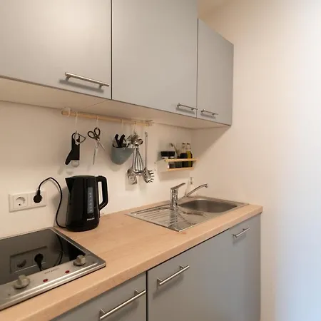 Peter - Mit Eigenem Eingang I 30qm I Zentrale Lage I Bad I Kueche I Terrasse I Tv Apartment *